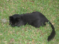 20100206 269.JPG
